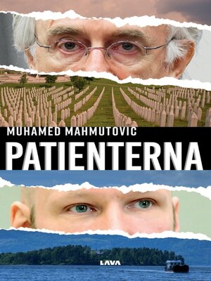 cover image of Patienterna